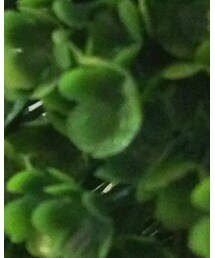 g | デニムスカート