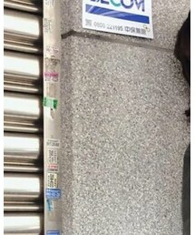 instagram:apahih | その他