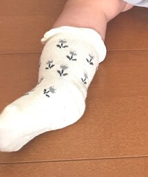 Birthday | レッグウェア
