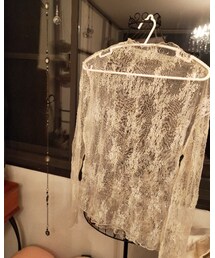 不明 | レースブラウス(シャツ/ブラウス)