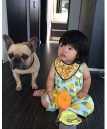 愛犬ペコ | その他