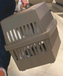 アイリスオーヤマ | トラベルグッズ