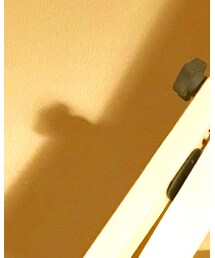 無印良品 | キャスケット