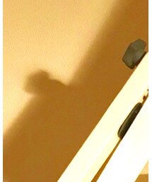 HAN KJOBENHAVN | スウェット