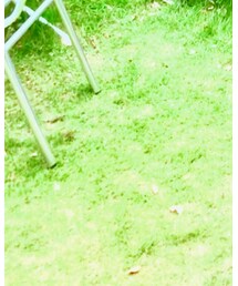 CHRISTOPHER NEMETH | その他パンツ