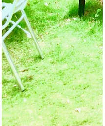 CHRISTOPHER NEMETH | Tシャツ/カットソー