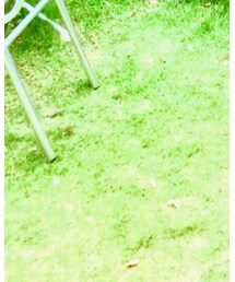 草間彌生 | ストール/ショール