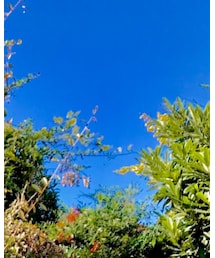 NEW YORK HAT | ハンチング/ベレー帽