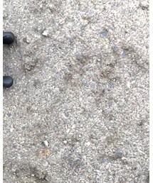 abu garcia | その他