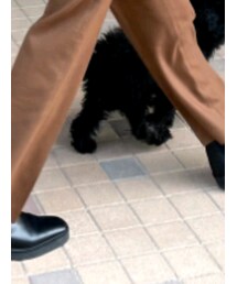 FRAMeWORK | パンツ