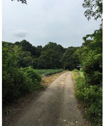 田舎 | その他
