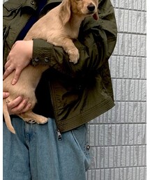 DIESEL | ジャケット/アウター