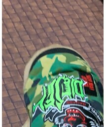 DIESEL | ペットウェア