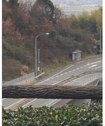 Y-3 | Tシャツ/カットソー