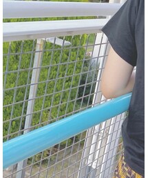 aikoツアーT | Tシャツ/カットソー