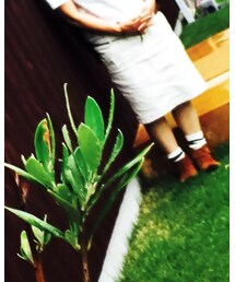 Minnetonka | ブーツ