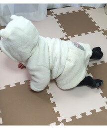 babyGAP | パーカー