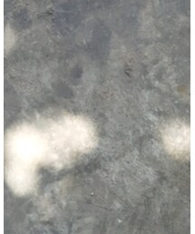 NIKE FREE | スニーカー