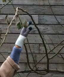 MUJI Labo | Muji 장갑(手袋)