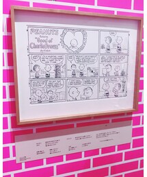 PEANUTS | ワンピース