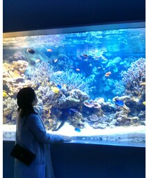 鳥羽水族館 | その他