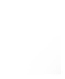 MAJESTIC LEGON | その他シューズ