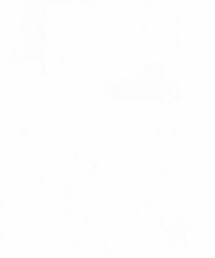 ROSE BUT | ワンピース