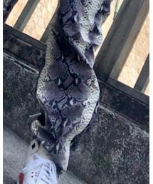 THE NORTH FACE | その他パンツ