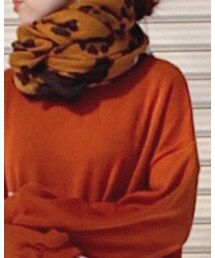 不明 | ストール/ショール