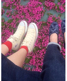芝桜 | その他