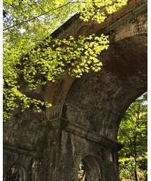 南禅寺 | その他