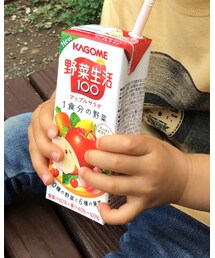 カゴメアップルサラダ | その他