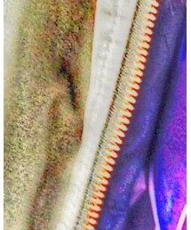 SPINNS | ジャケット/アウター