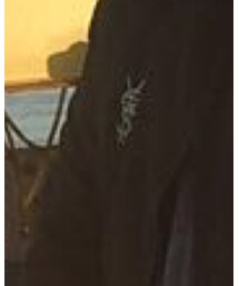 T0$H¥AGISHITA | T0$H¥AGISHITA GOLD PIN Link in the bio(ブローチ/コサージュ)