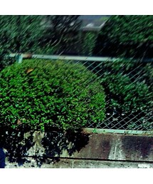 VINTAGE | ファッション雑貨