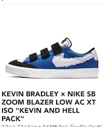 KEVIN BRADLEY×NIKE SB | (スニーカー)