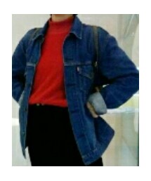 levis | デニムジャケット