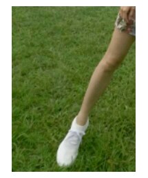 sketchers | スニーカー