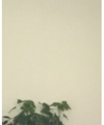 UNIQLO | トップス