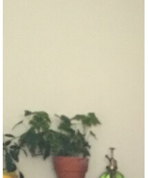 NIKE | ソックス/靴下