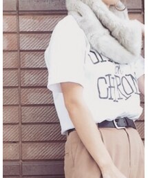 STUSSY | Tシャツ/カットソー