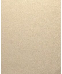 Rodeo Crowns | スカート