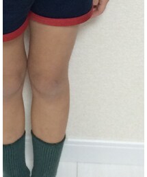 ロベルタ | ソックス/靴下