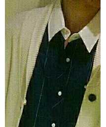 Arnold Palmer | シャツ/ブラウス