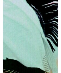 American Eagle | トップス