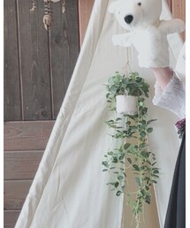 UNIQLO | シャツ/ブラウス