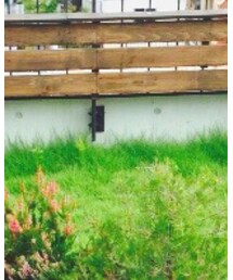 MR.GENTLEMAN | キャップ