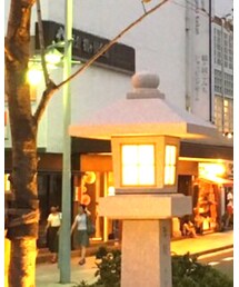 SALT SURF | Tシャツ/カットソー