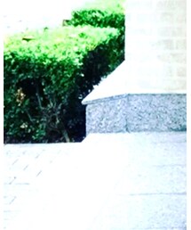 麻布十番祭り | その他