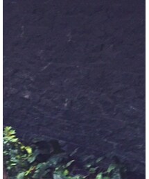 MONCLER | ダウンジャケット/コート